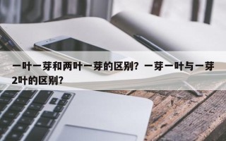 一叶一芽和两叶一芽的区别？一芽一叶与一芽2叶的区别？