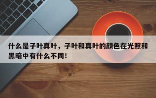 什么是子叶真叶，子叶和真叶的颜色在光照和黑暗中有什么不同！