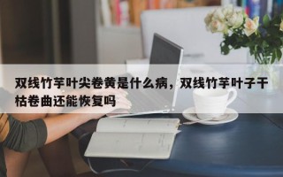 双线竹芋叶尖卷黄是什么病，双线竹芋叶子干枯卷曲还能恢复吗