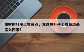 发财树叶子上有黄点，发财树叶子上有黄斑是怎么回事？