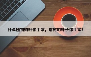 什么植物树叶像手掌，啥树的叶子像手掌？