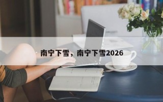 南宁下雪，南宁下雪2026