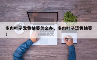 多肉叶子发黄枯萎怎么办，多肉叶子泛黄枯萎！