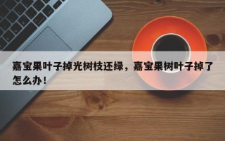 嘉宝果叶子掉光树枝还绿，嘉宝果树叶子掉了怎么办！