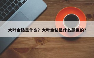 大叶金钻是什么？大叶金钻是什么颜色的？