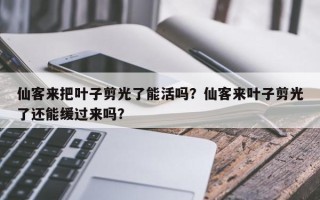 仙客来把叶子剪光了能活吗？仙客来叶子剪光了还能缓过来吗？