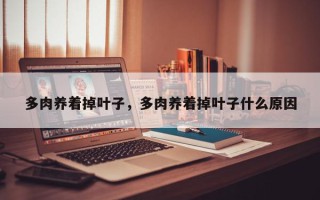 多肉养着掉叶子，多肉养着掉叶子什么原因