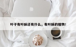 叶子有叶脉还有什么，有叶脉的植物！