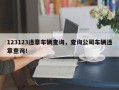 123123违章车辆查询，查询公司车辆违章查询！