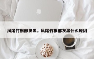 凤尾竹根部发黑，凤尾竹根部发黑什么原因