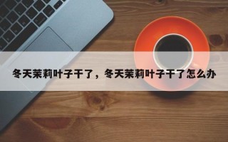 冬天茉莉叶子干了，冬天茉莉叶子干了怎么办