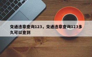 交通违章查询123，交通违章查询123多久可以查到