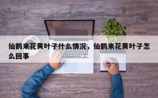 仙鹤来花黄叶子什么情况，仙鹤来花黄叶子怎么回事
