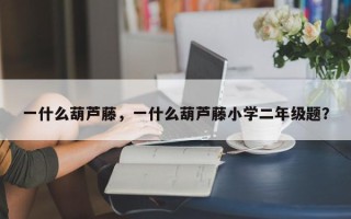 一什么葫芦藤，一什么葫芦藤小学二年级题？