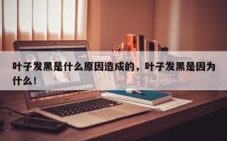 叶子发黑是什么原因造成的，叶子发黑是因为什么！