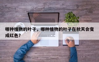 哪种植物的叶子，哪种植物的叶子在秋天会变成红色？