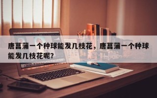 唐菖蒲一个种球能发几枝花，唐菖蒲一个种球能发几枝花呢？