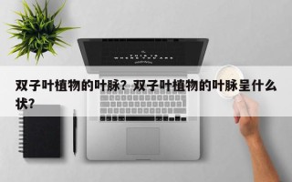双子叶植物的叶脉？双子叶植物的叶脉呈什么状？