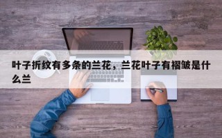 叶子折纹有多条的兰花，兰花叶子有褶皱是什么兰