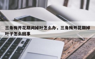 三角梅开花期间掉叶怎么办，三角梅开花期掉叶子怎么回事