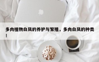 多肉植物白凤的养护与繁殖，多肉白凤的种类！