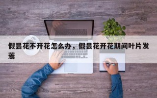假昙花不开花怎么办，假昙花开花期间叶片发蔫
