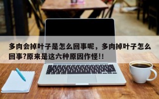 多肉会掉叶子是怎么回事呢，多肉掉叶子怎么回事?原来是这六种原因作怪!！