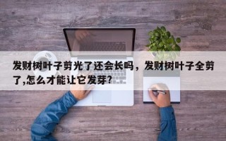 发财树叶子剪光了还会长吗，发财树叶子全剪了,怎么才能让它发芽?