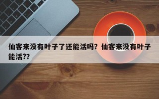 仙客来没有叶子了还能活吗？仙客来没有叶子能活?？