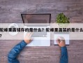 驼峰里面储存的是什么？驼峰里面装的是什么？