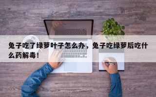 兔子吃了绿萝叶子怎么办，兔子吃绿萝后吃什么药解毒！