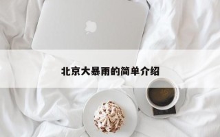 北京大暴雨的简单介绍