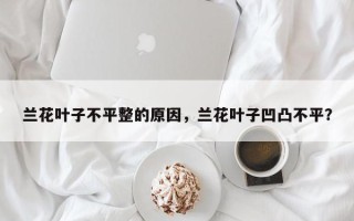 兰花叶子不平整的原因，兰花叶子凹凸不平？