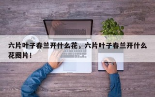 六片叶子春兰开什么花，六片叶子春兰开什么花图片！