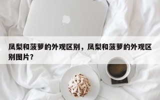 凤梨和菠萝的外观区别，凤梨和菠萝的外观区别图片？