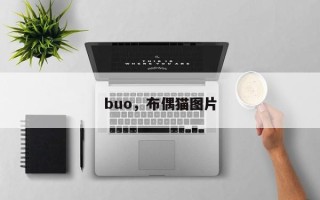 buo，布偶猫图片