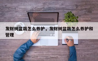 发财树盆栽怎么养护，发财树盆栽怎么养护和管理