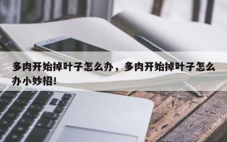 多肉开始掉叶子怎么办，多肉开始掉叶子怎么办小妙招！