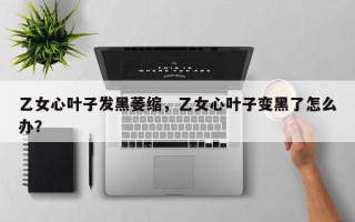 乙女心叶子发黑萎缩，乙女心叶子变黑了怎么办？