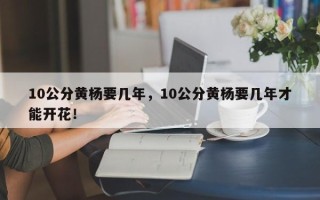 10公分黄杨要几年，10公分黄杨要几年才能开花！