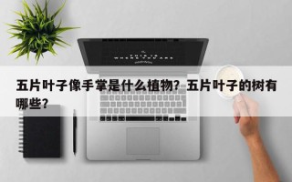 五片叶子像手掌是什么植物？五片叶子的树有哪些？