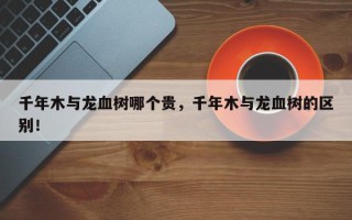 千年木与龙血树哪个贵，千年木与龙血树的区别！