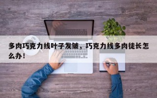 多肉巧克力线叶子发皱，巧克力线多肉徒长怎么办！