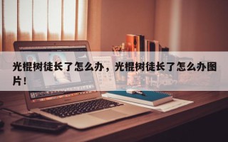 光棍树徒长了怎么办，光棍树徒长了怎么办图片！