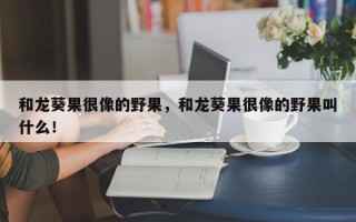 和龙葵果很像的野果，和龙葵果很像的野果叫什么！