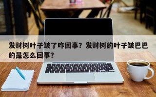 发财树叶子皱了咋回事？发财树的叶子皱巴巴的是怎么回事？
