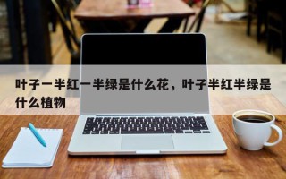 叶子一半红一半绿是什么花，叶子半红半绿是什么植物