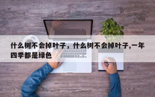 什么树不会掉叶子，什么树不会掉叶子,一年四季都是绿色