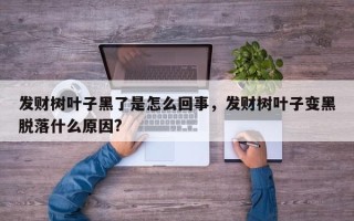 发财树叶子黑了是怎么回事，发财树叶子变黑脱落什么原因?