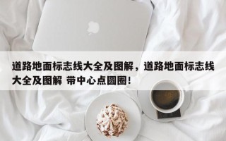 道路地面标志线大全及图解，道路地面标志线大全及图解 带中心点圆圈！